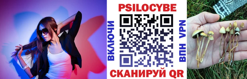 Псилоцибиновые грибы MAGIC MUSHROOMS  хочу   Кизел 