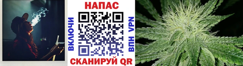 Каннабис Bruce Banner  OMG tor  Кизел 